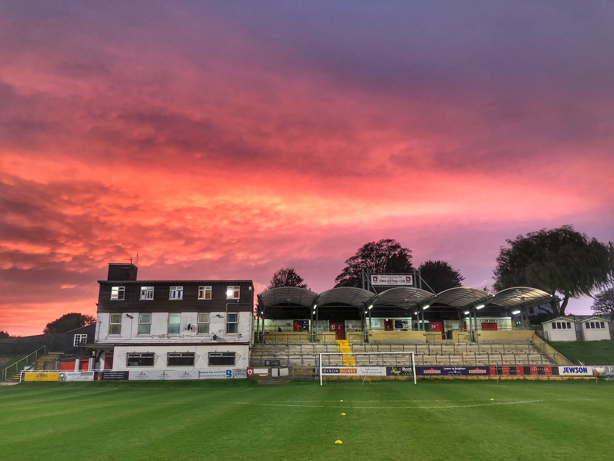 DS stung by Wasps on Red Monday