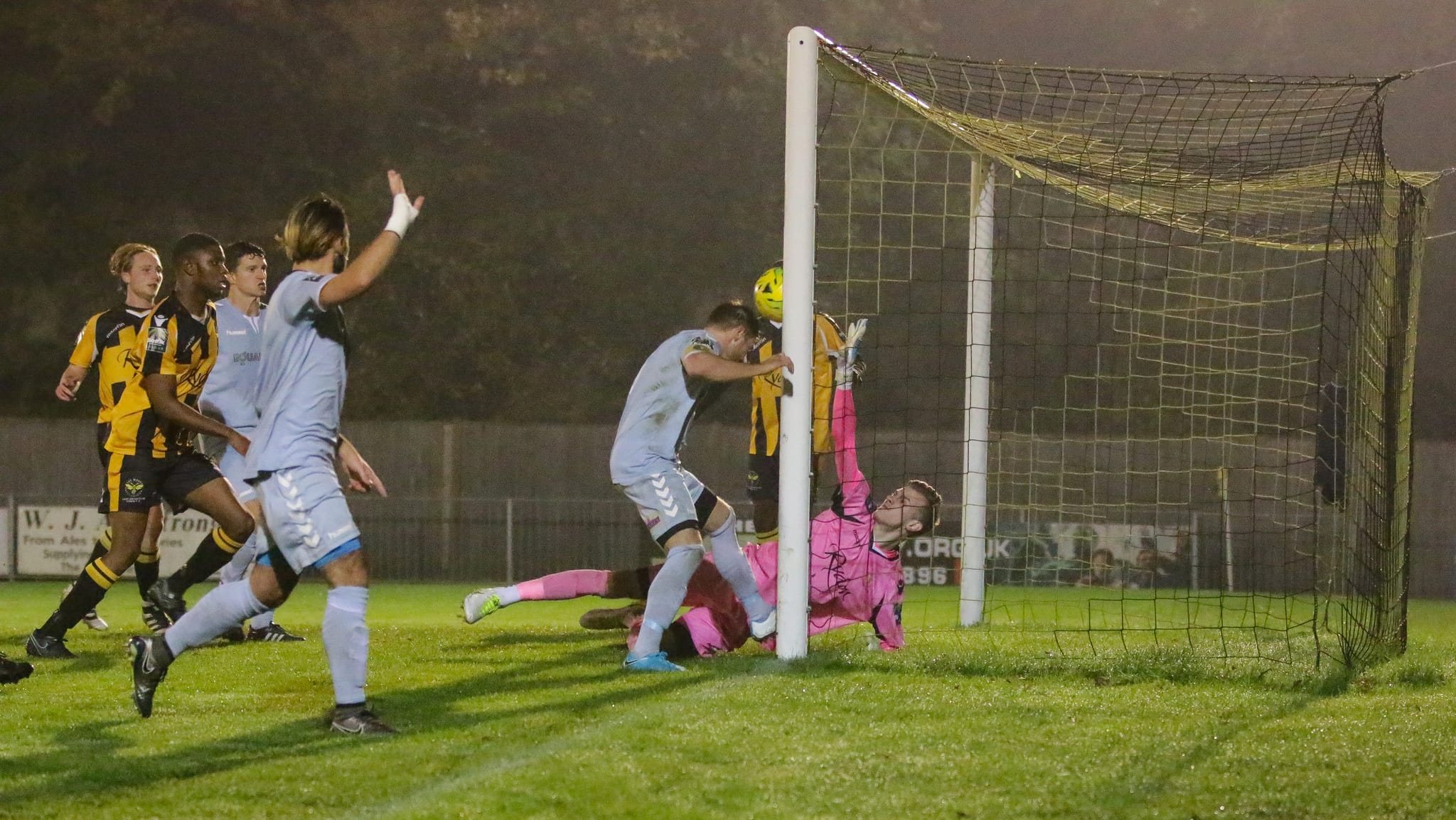 Rooks take the sting out of the Wasps to stay top of the table