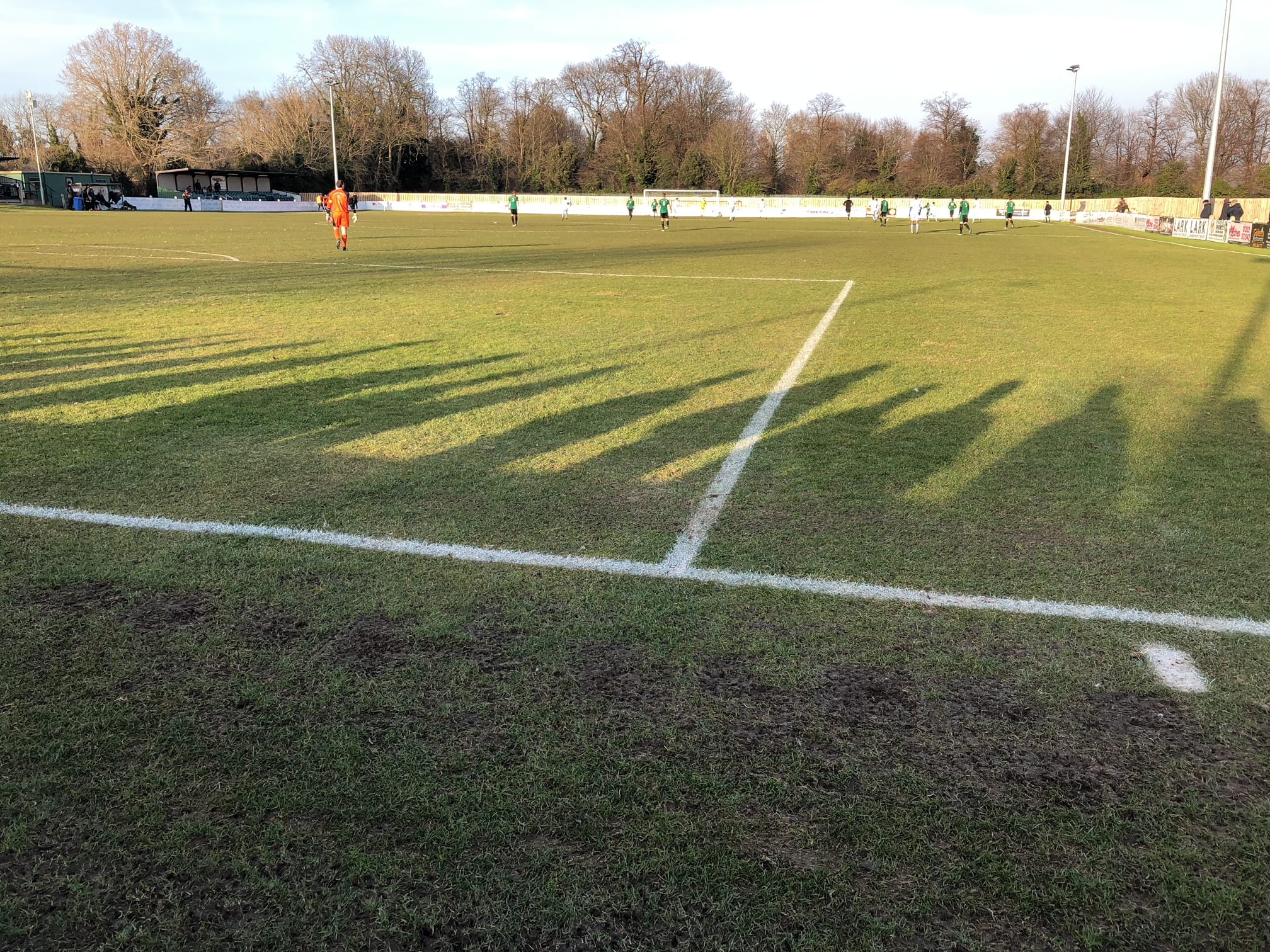 Rooks stop Phoenix rising from the ashes