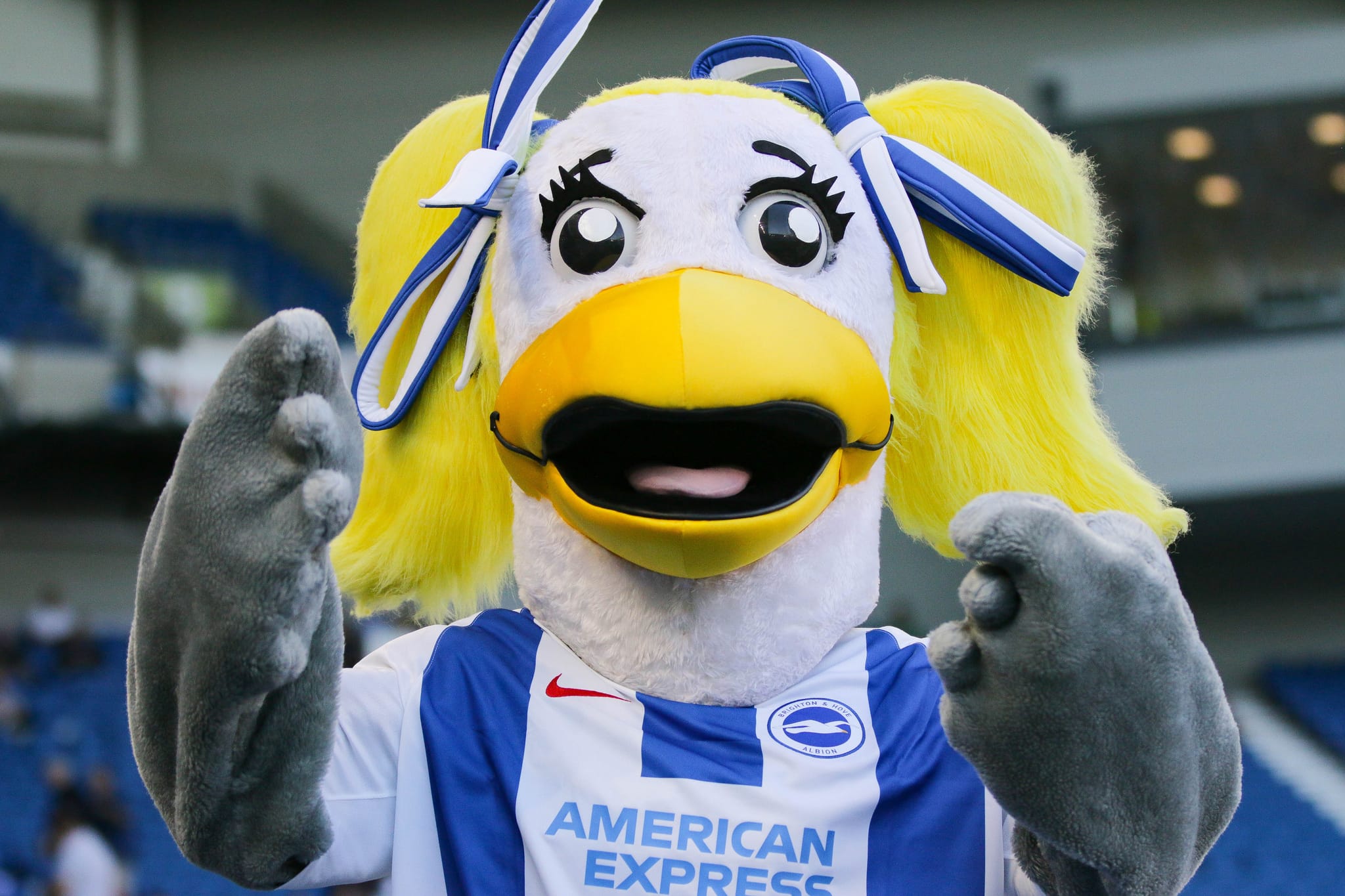 Rooks host Brighton & Hove Albion in the Sussex Senior Cup