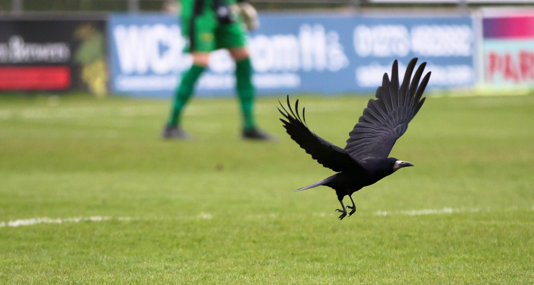 Men’s youth restructured ahead of new season