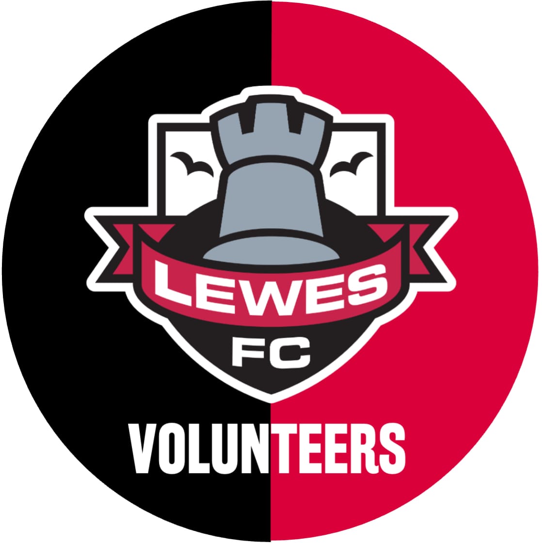 Lewes FC and WFC Volunteers logo