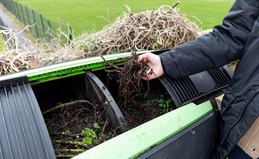 Lewes community wins Environmental Sustainability Award 2024