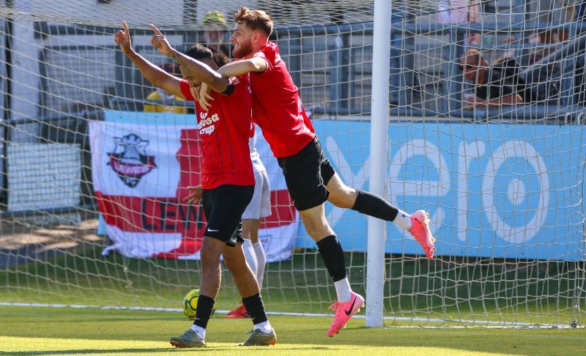Lewes Community Football Club — Pitchboards